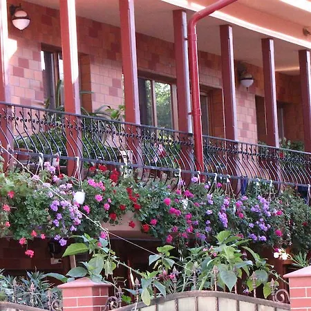 Casa de hóspedes Pensiunea Pluto