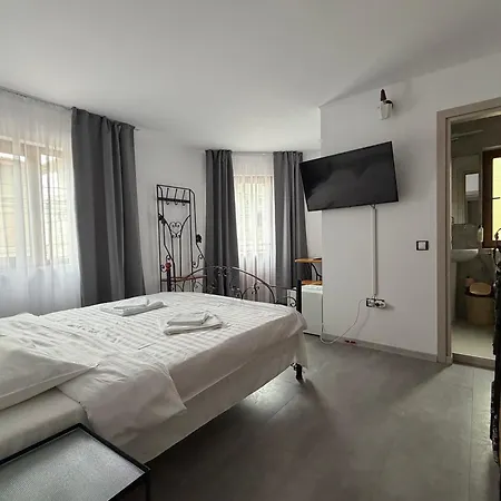 Pensiunea Pluto 3*