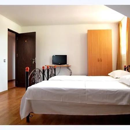 Gasthuis Pensiunea Pluto 3*