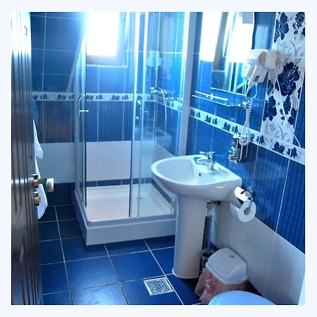 Gasthuis Pensiunea Pluto