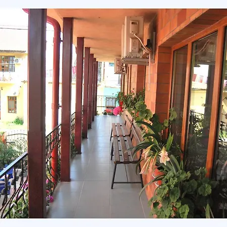Pensiunea Pluto Guest house 3*