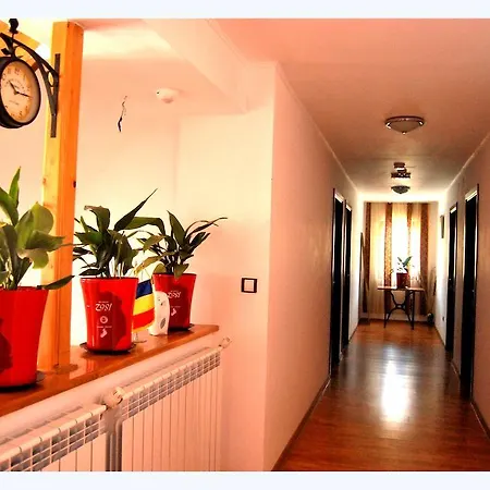 Guest house Pensiunea Pluto