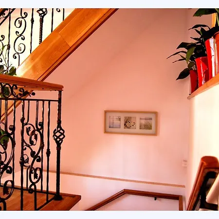 Guest house Pensiunea Pluto