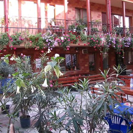 Gasthuis Pensiunea Pluto 3*