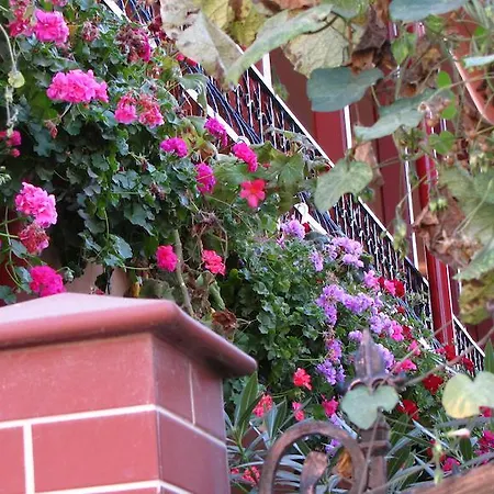 Pensiunea Pluto Sulina