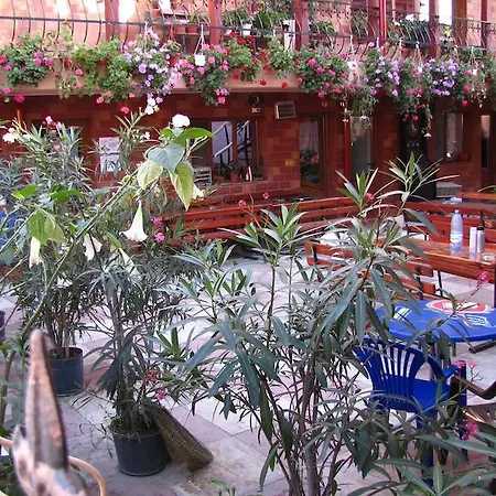 Gasthuis Pensiunea Pluto 3*