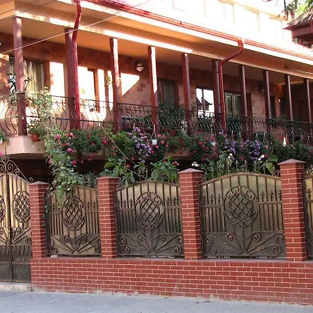 Guest house Pensiunea Pluto 3*