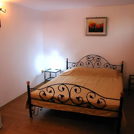 Gasthuis Pensiunea Pluto 3*